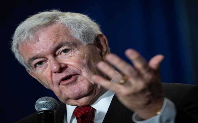  Newt Gingrich: ‘Civilization Breaks Down’ in Crime-Ridden Dem Cities