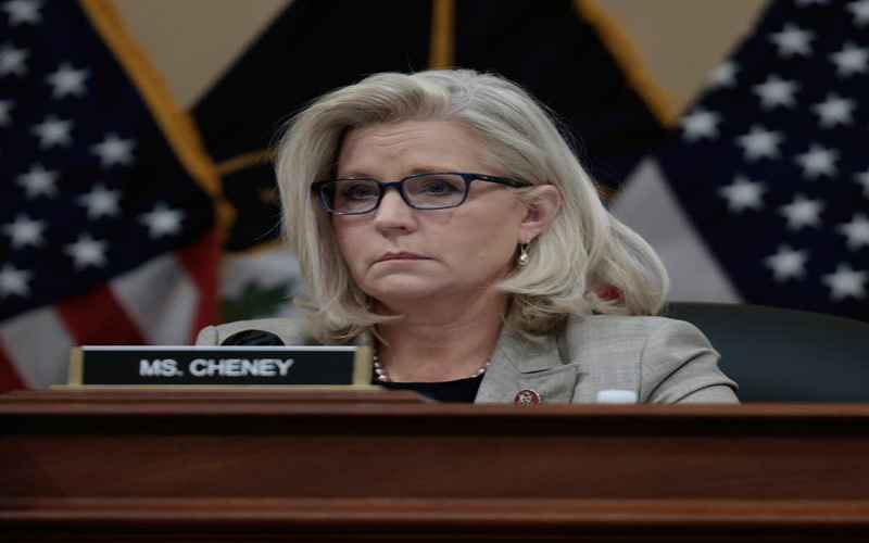 Conservatives Blast Cheney for Endorsing Democrat