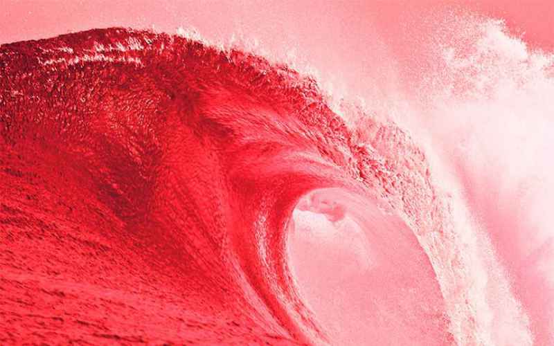 ‘Deeply Red’: NC Media Deliciously Melts Down as State Red Wave Gives GOP Control of NC
