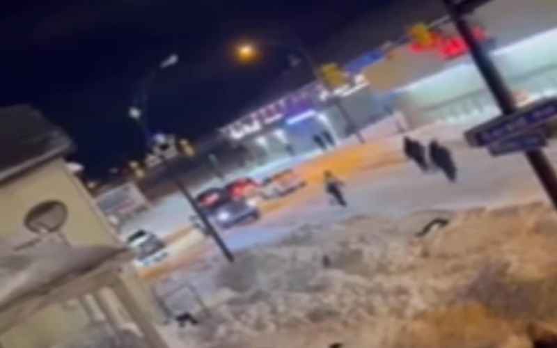  Business Owner Opens Fire on Looters During Buffalo Blizzard