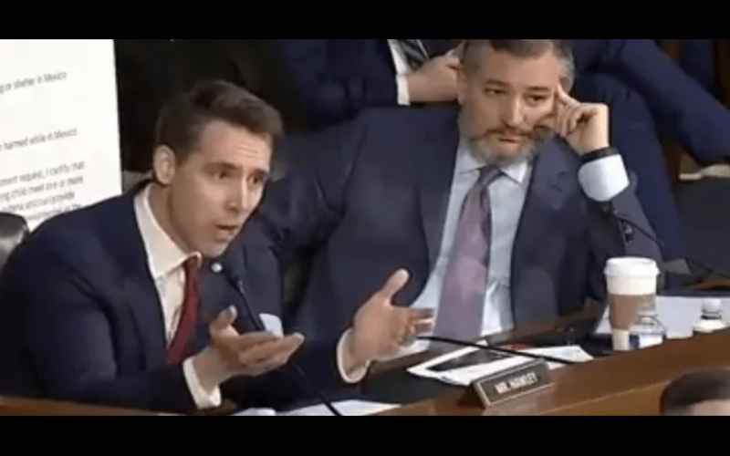 TED CRUZ AND JOSH HAWLEY EXPOSE THE BIDEN TEAM IN BRILLIANT GRILLING OF MAYORKAS