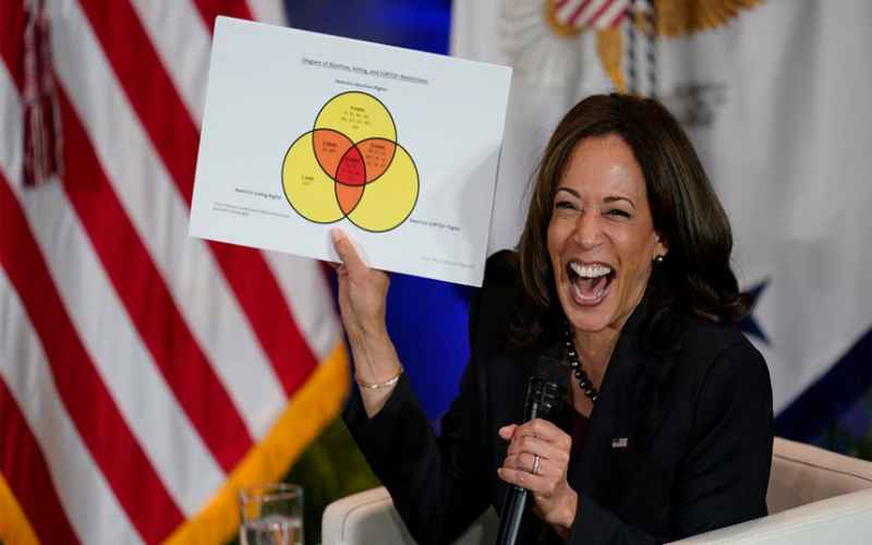 COULD KAMALA HARRIS COST JOE BIDEN THE 2024 ELECTION?