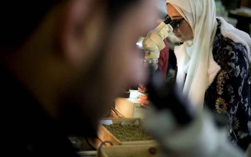VICTORY: UNIVERSITY OF MINNESOTA DROPS RACIST ‘NON-WHITE’ REQUIREMENT ON RESEARCH PROGRAM