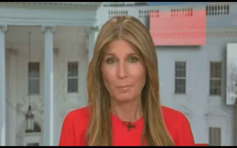 THE REACTION OF MSNBC’S NICOLE WALLACE TO TRUMP’S GA BOOKING SHOWS WHAT GHOULS THEY TRULY ARE