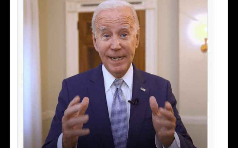  IF BIDEN BACKS OUT OF THE 2024 RACE, WHO CAN TAKE HIS PLACE?