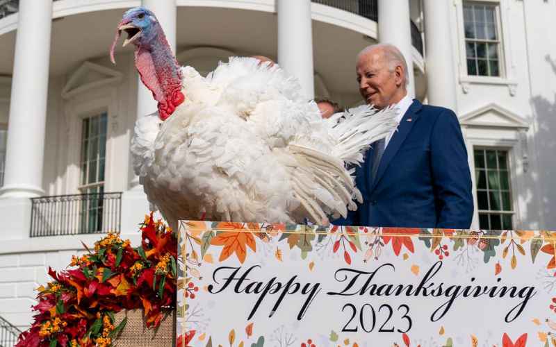  THANKS TO BIDENOMICS, YOUR THANKSGIVING COSTS 110% OF 2020’S; ON THE BRIGHT SIDE, YOU’RE MAKING LESS