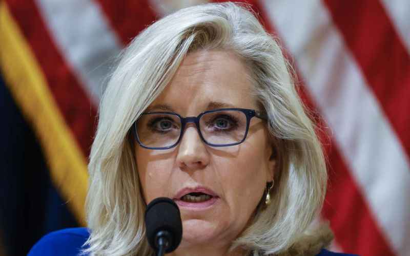  WHAT’S LIZ CHENEY SO AFRAID OF?