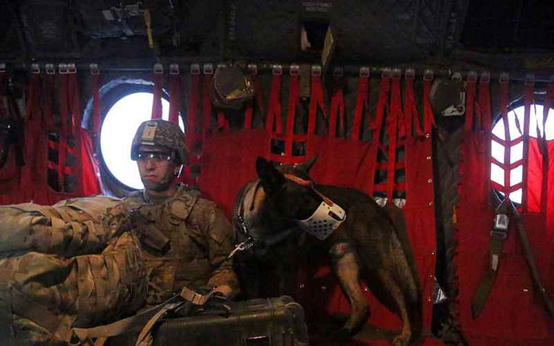  MERRY CHRISTMAS! AIR FORCE NCO REUNITED WITH HIS DOG AFTER TWO YEARS