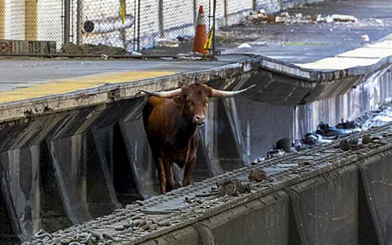 NEW JERSEY TRANSIT IS FULL OF BULL