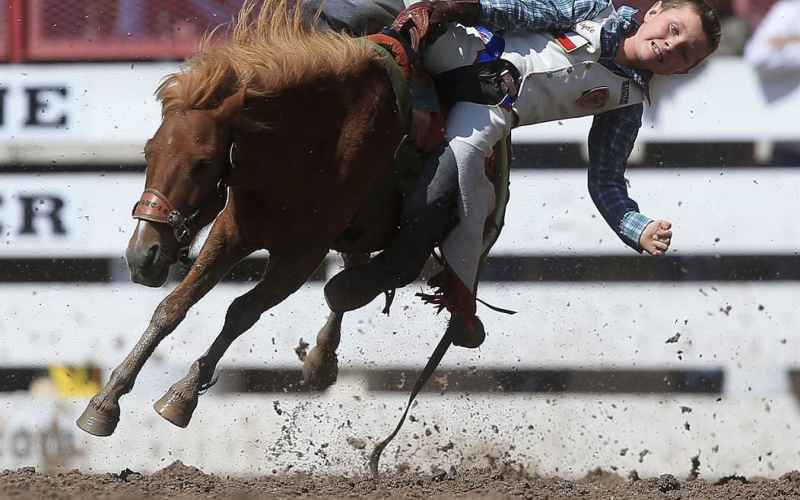  LOS ANGELES VOTES TO BAN RODEOS IN THE CITY – BECAUSE THEY HAVE NOTHING MORE PRESSING TO DO