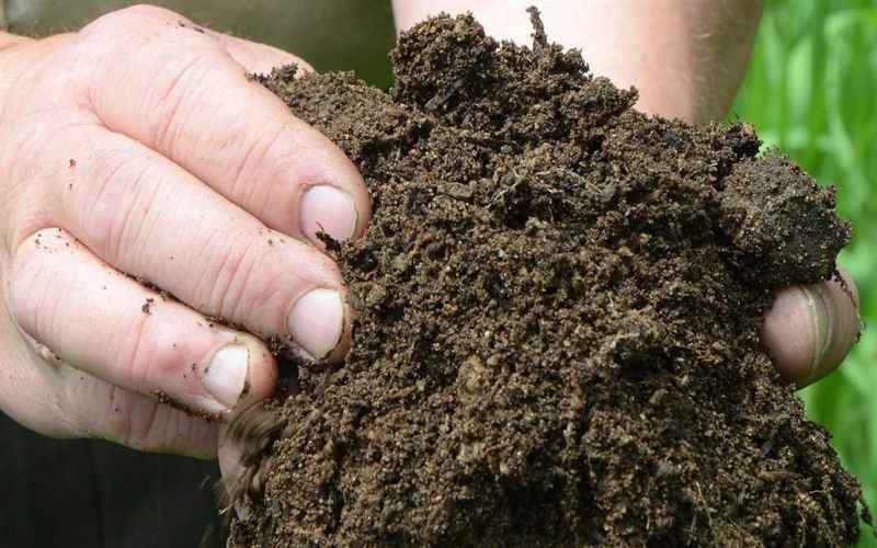  DELAWARE JOINS SEVEN OTHER STATES, ALLOWS HUMAN COMPOSTING AS ALTERNATIVE TO BURIAL AND CREMATION