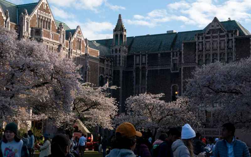  Frat Dudes Race to the Rescue Again With Hilarious Challenge to Antifa During U-Washington Event