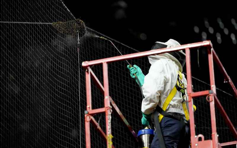  The Story of the Hero Beekeeper From the Dodgers-Diamondbacks Game Just Keeps Getting Better