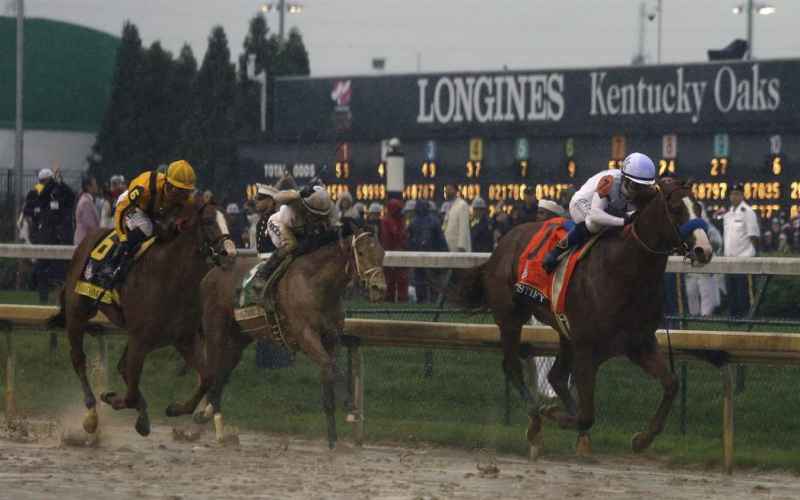  Florida Looms Large, Has Connections With Much of the Field in Saturday’s 150th Kentucky Derby