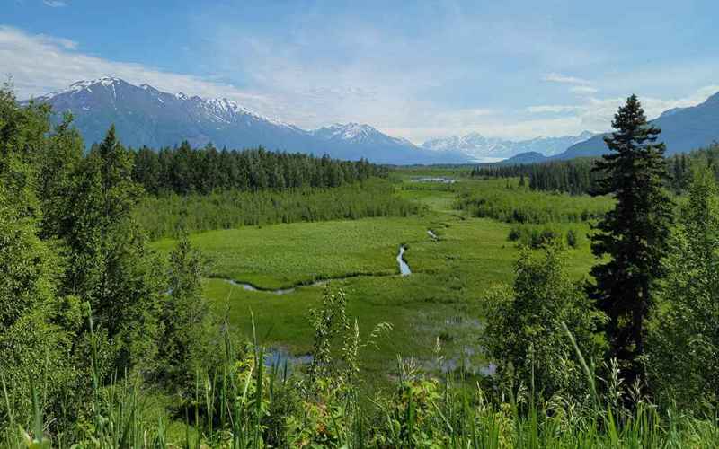  Ranked-Choice Repeal Upheld: Alaska Supreme Court Rules, Issue to Be on November Ballot