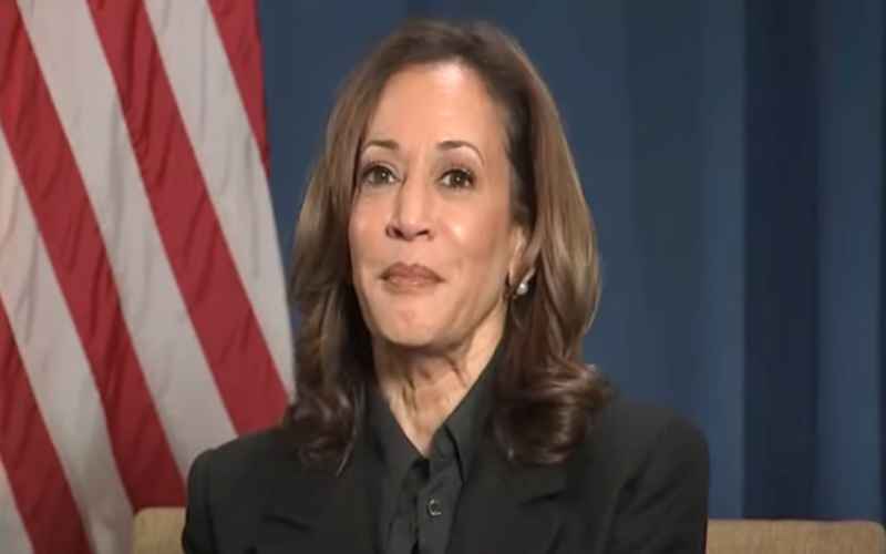  Kamala Harris Botches Her First Solo Interview With ABC News