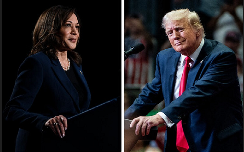  Poll In 2 Battlegrounds, White College Grads Lean to Trump on Eve of Harris Debate