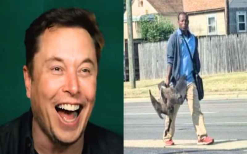  Elon Musk, MAGA Fuels Meme War Amid Viral Haitian Migrants Cat Eating Scandal