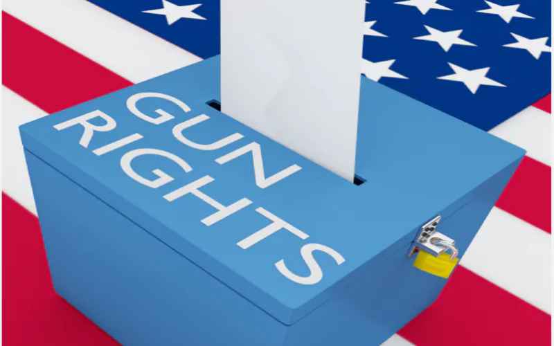  Ballotpedia No Gun Initiatives on the Ballot