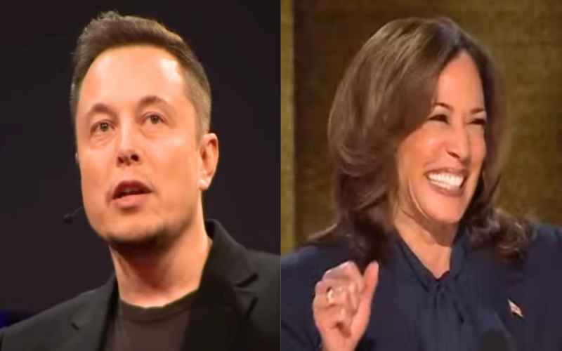  Elon Musk Predicts Dems Will Import, Legalize Enough Migrants to