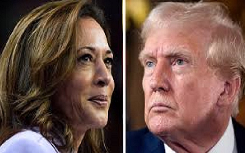  U.S. News Generation Lab Poll Harris Leads Among Young Voters