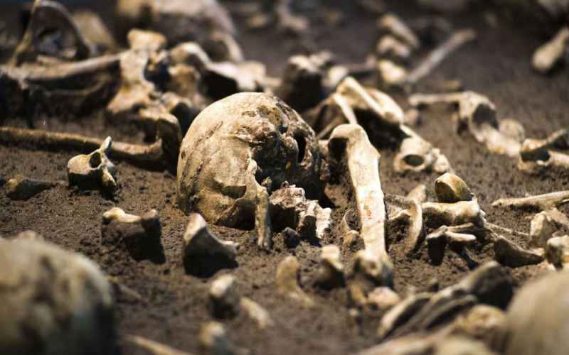  Wellington Won at Waterloo, but It Cost an Arm and a Leg