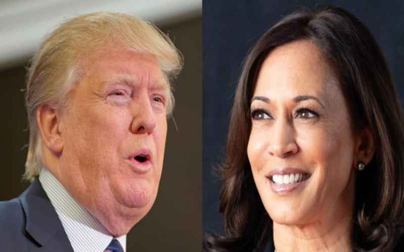  Arab-American Voter Shift Discontent with Harris Reveals Growing Support for Trump