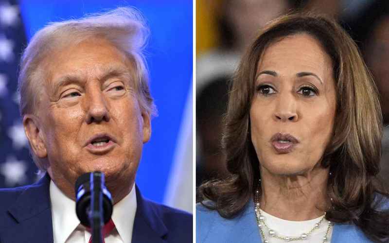  Kamala Harris Rolls Out the Big Dogs in Swing States While Donald