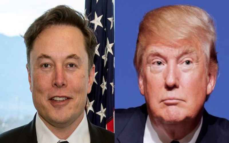  Trump Hints Elon Musk May Play Active Role In His Administration
