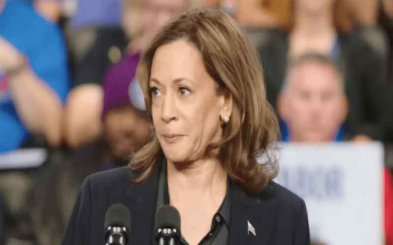  CNN Details Troubling Trend for Kamala Harris in 2024 Election