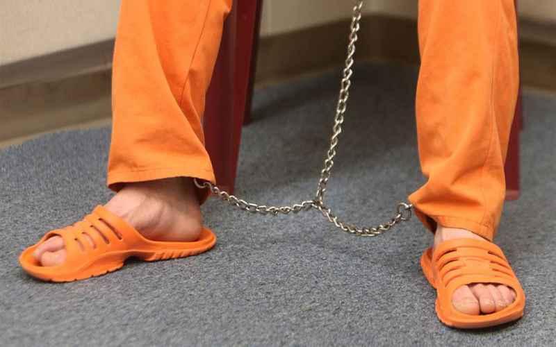  Lost in Transit Diesel Therapy and the Disappearance of Political Prisoners