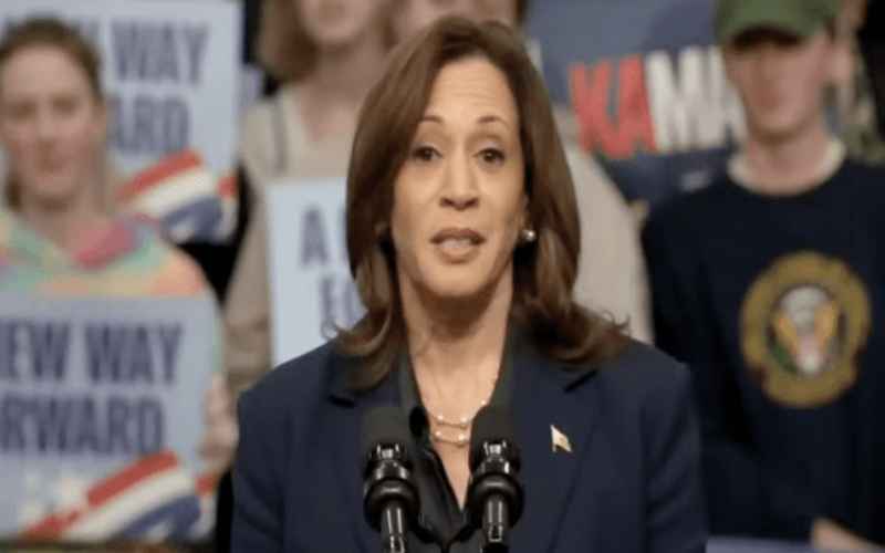  Kamala Says She ‘Stood Up to Veterans’ in Brutal Gaffe During Wisconsin Rally