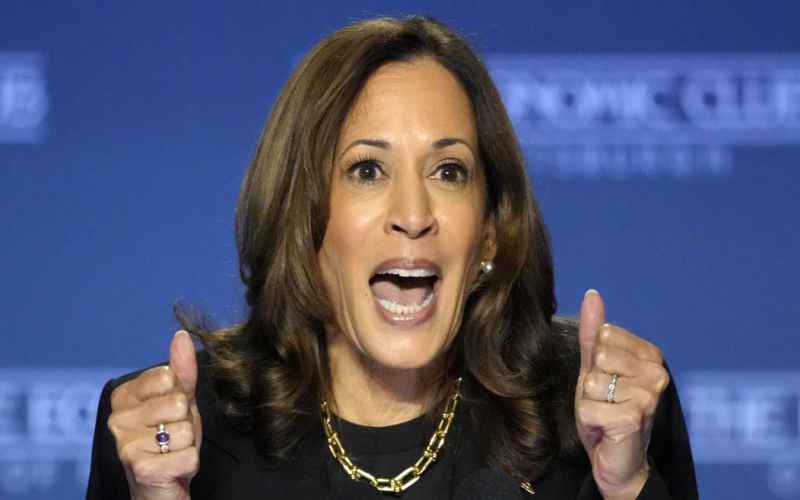  Kamala Harris Plays Softball During NBC News Interview and Still Manages to Strike Out