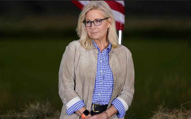  Liz Cheney Might Have Had the Dumbest Moment During
