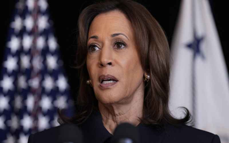  Kamala Harris Rolls Out ‘Plan’ for Black Males As Polls Show