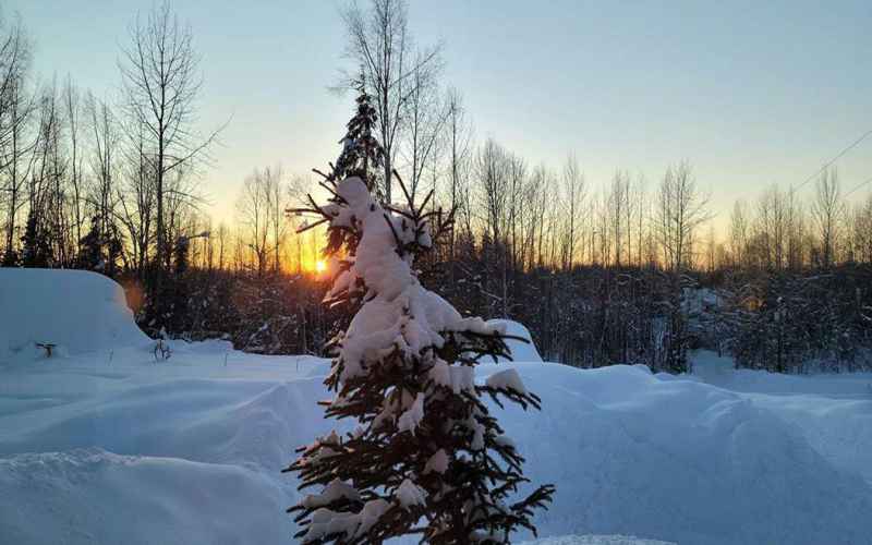  Shocker Homeless Alaskans More Likely to Suffer Cold-Related Injuries. Who Knew
