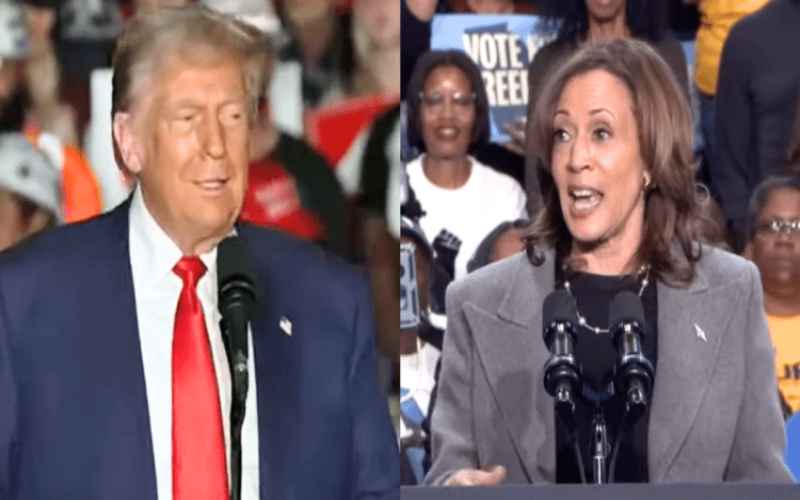  Stunning Early Voting Numbers Indicate That Trump Will Win the November Election
