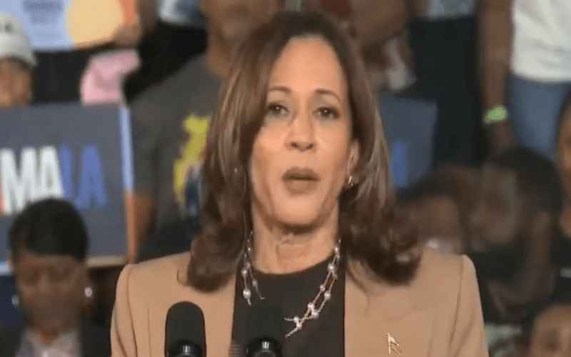  Social Media Goes Wild as Kamala Faces Mockery Over ‘Dozens’ of Supporters Walking