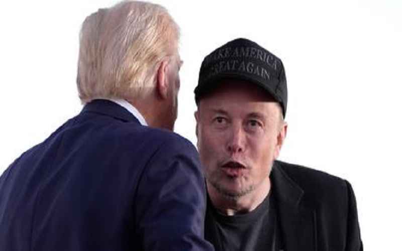  Texas Man Hits Election Worker Who Said Remove Trump Hat Police