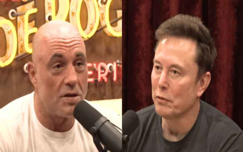  Elon Musk Warns ‘There’s no Way’ X Would Exist Under Harris Admin