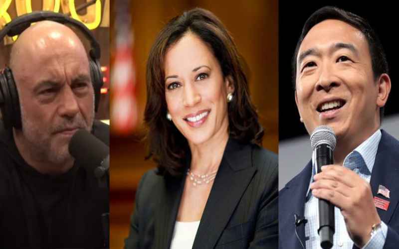  Andrew Yang Criticizes Kamala Harris for Skipping Joe Rogan’s Podcast