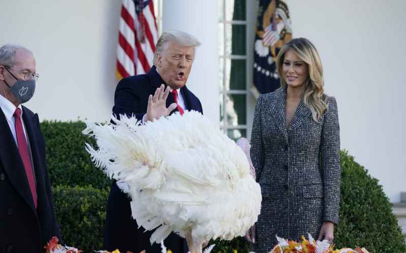  Axios Tries to Cancel Thanksgiving, and the Ratio Is Unbelievable