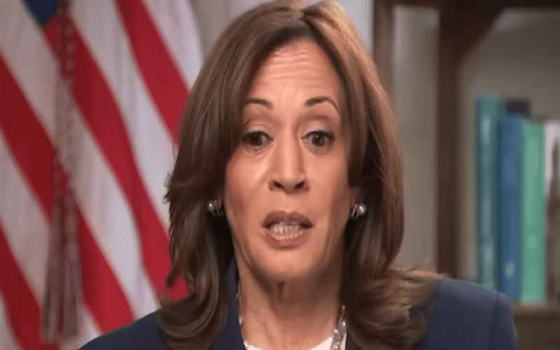  Kamala Bombs Interview With Popular Muslim Influencer, Leads to Cancellation