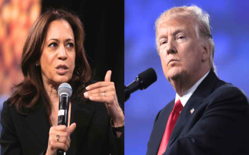  Leaked Memo Confirms Dems’ Worst Fears