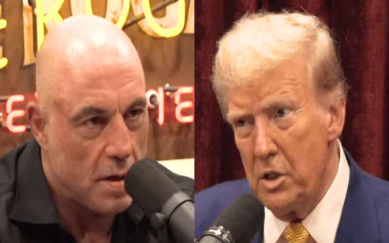  Joe Rogan Warns President-Elect Against Attacking Haters: ‘Let Them All Talk Their S***’