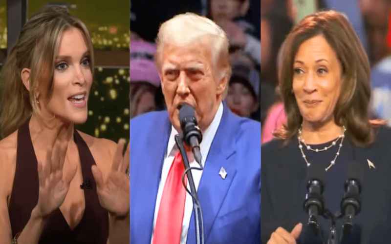  Megyn Kelly’s Election Prediction Turns Heads as