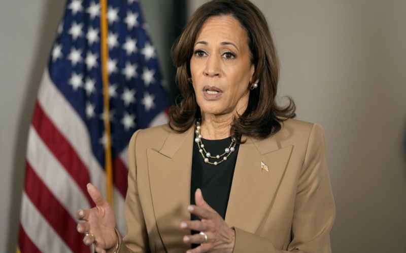  Kamala Harris Releases a Thanksgiving Message, and Things Get Weird