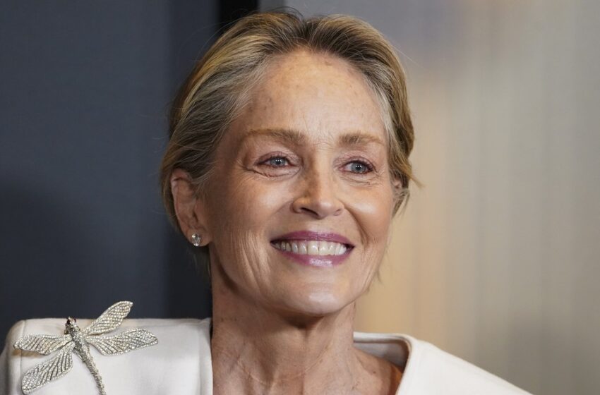  Sharon Stone Blames Harris Loss on the Uneducated Redneck Voter