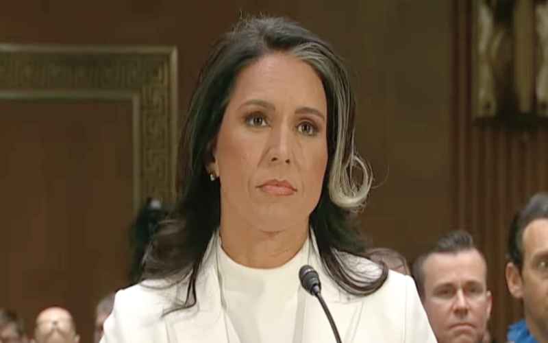  John Kennedy Worried Tulsi Gabbard May Not Be Confirmed