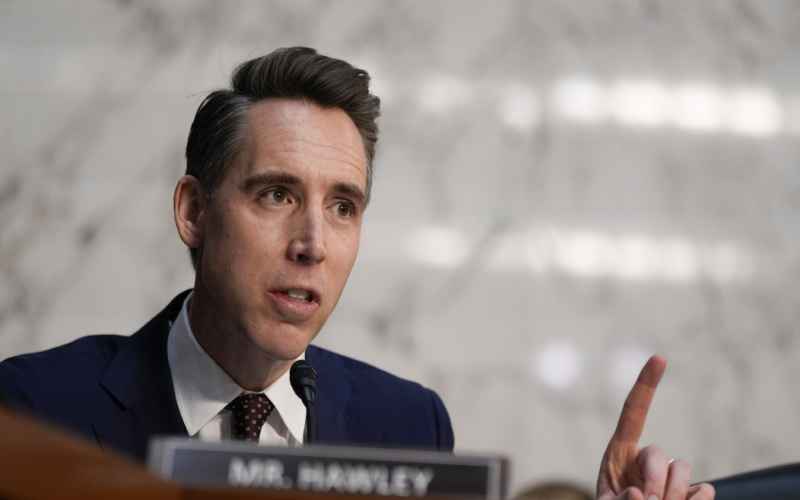  Hawley Comes in Hot, Says Democrats ‘Panicking Big Time’ As Musk